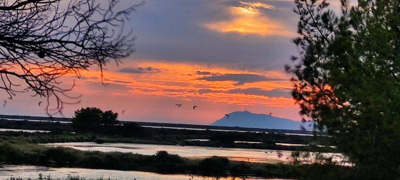 Suite Avec Tropezienne Vue Mer Hyeres Bagian luar foto